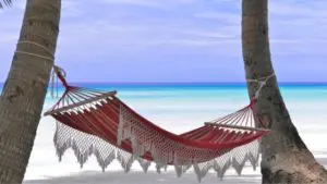 Leia mais sobre o artigo Calypso Homage: Caribean vacation fun